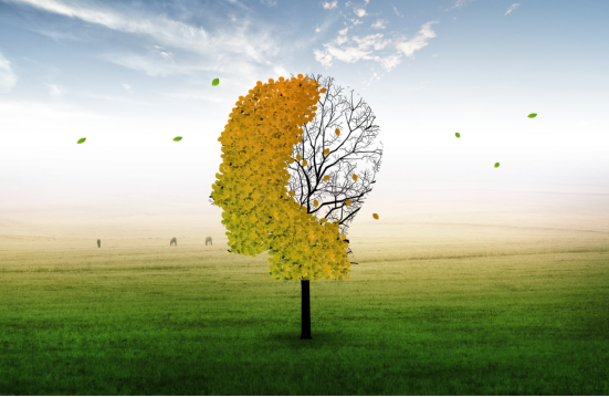 什么是設計中的情緒空間？