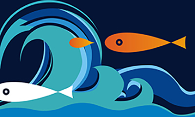 深圳品牌營銷策劃-娃哈哈品牌分析：如何在激烈競爭中脫穎而出？